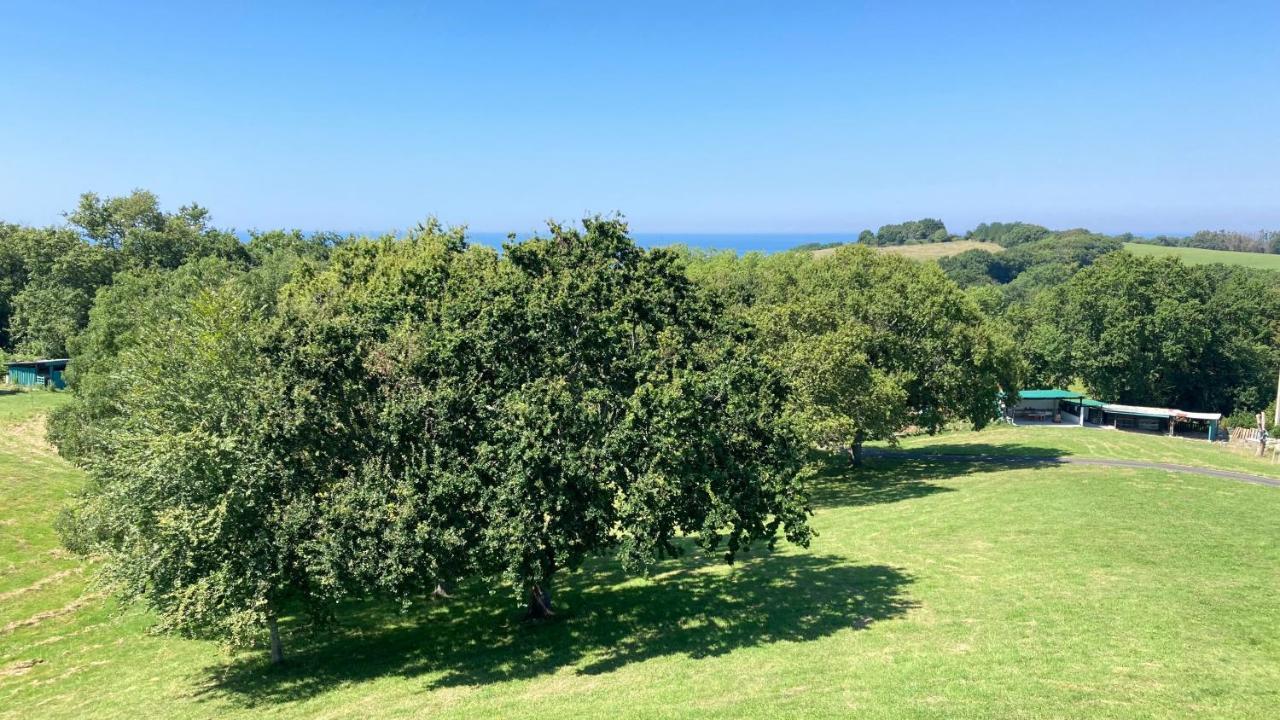 Amama Baita Urrugne Bagian luar foto