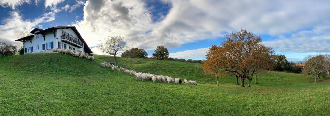 Amama Baita Urrugne Bagian luar foto